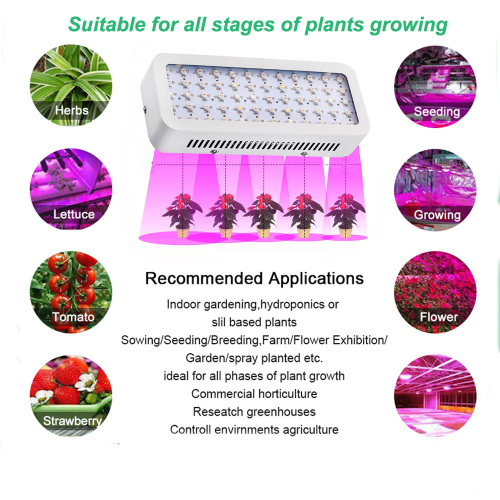 Veg / bloei Hydroponic Systems LED Grow Light