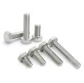 Minglu inox Bolt Nut A2 A4