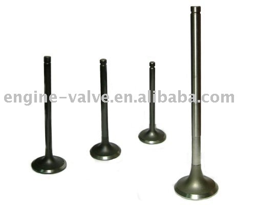 engine valves for 3033234