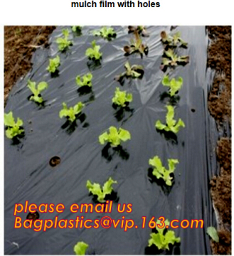 pe tube tomato film tomato pe tube perforated film pe tube perforated film