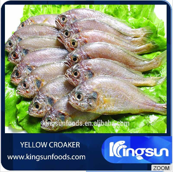 High Quality Frozen Little Yellow Croaker In Fish