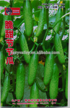 Chinese Vegetable Seeds Cucumber Seeds-Clusters Of Crisp Green