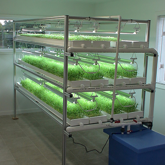 Large Scale Hydroponic Microgreen Rack