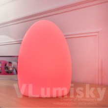 LED Portable Egg Lighting with Harmonious