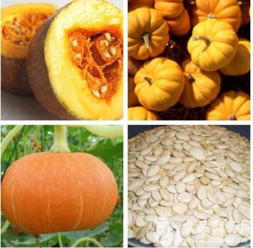 Pumpkin Seed Extract