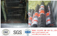 HOT SALES Galvanized hexagonal wire mesh with mesh hole 50x50