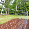 Mesh Square Trellis Mesh