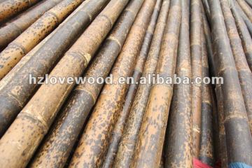 Bamboo Stakes Speckled