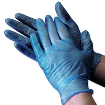 Gants bleus sans poudre et vinyle poudré