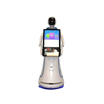 Reception Service Robot In The Mall