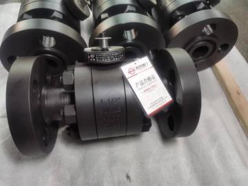 Forged Flanged Gate Valve 150Lb~1500Lb