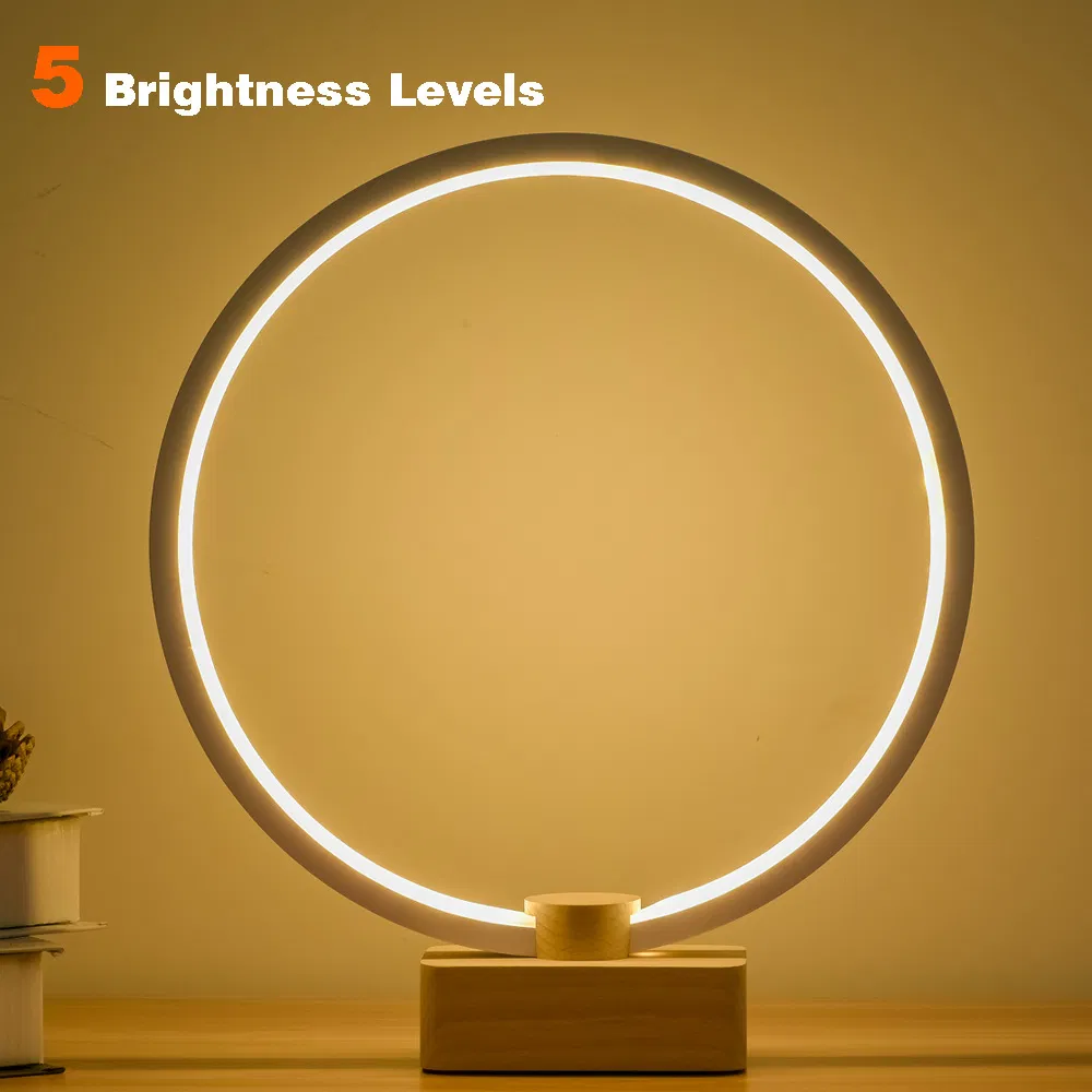 Intelligent Solid Wood, LED Desk Lamp, Unique Creativity, USB Gift
