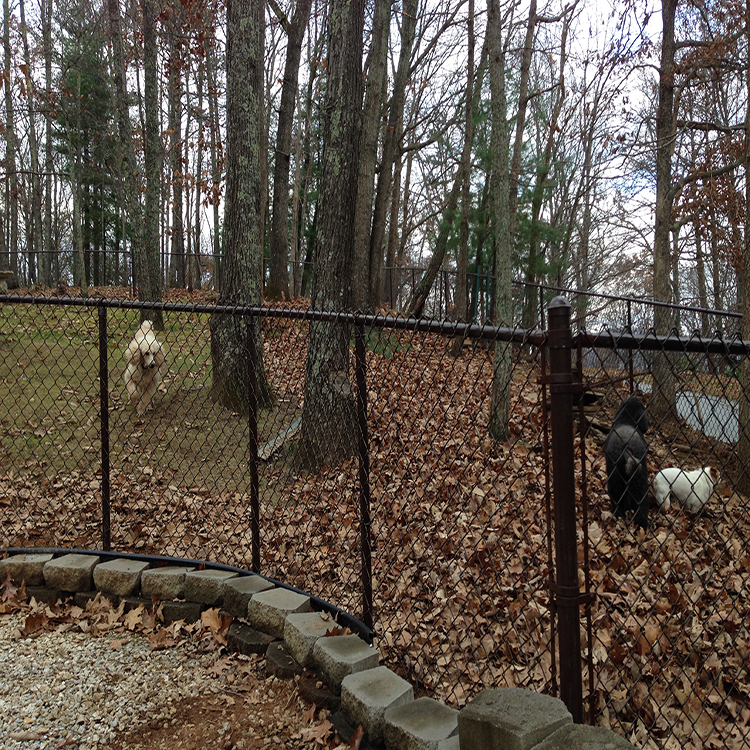 Removable chain link fence