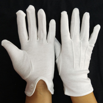 Director's Showcase White Cotton Gloves