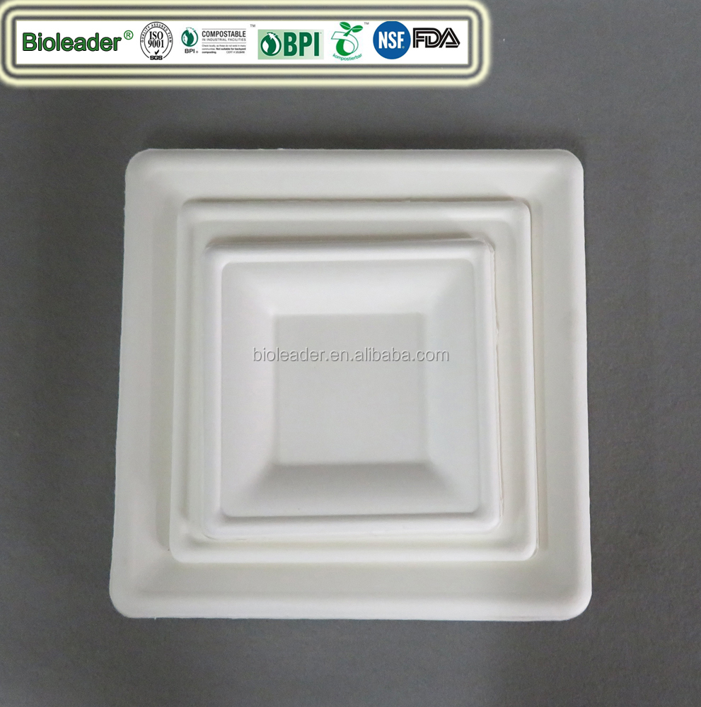 100%Biodegradable Disposable Bagasse Dinner Paper Plate