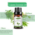 100% Pure Natural Cajeput Essentia Oil Therapeutil Grade
