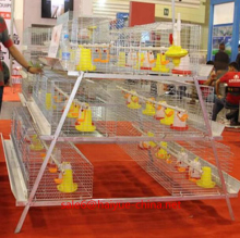 Taiyu design day old chicks cage for sale