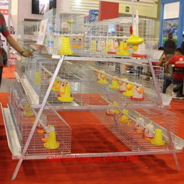 Taiyu design day old chicks cage for sale