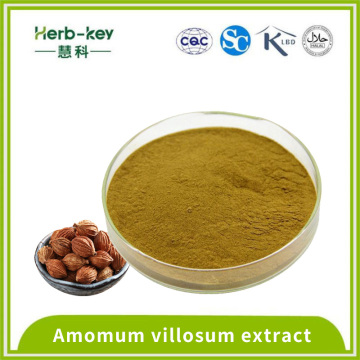 10:1 Containing flavonoid amomum extract powder