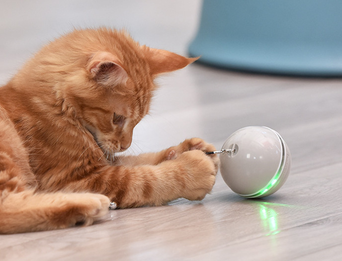 Amazon Popular Promotion USB Charging 360 Degree Auto-rotating Cat Toy Ball Interactive Smart Pet Supplies