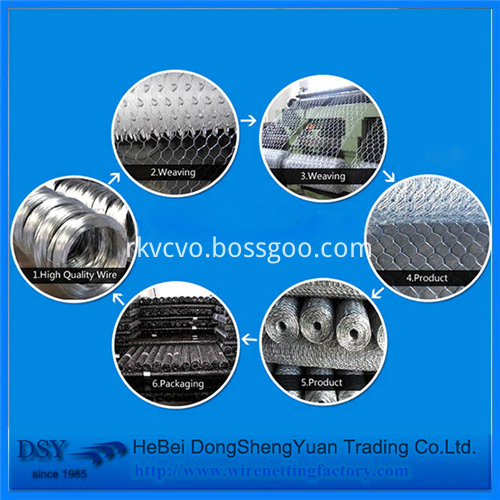 Hexagonal Wire Mesh