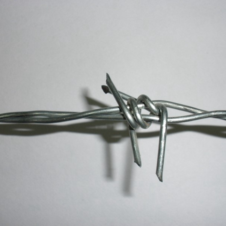 Barbed Wire (