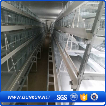 Chicken laying cage with feeds and waters
