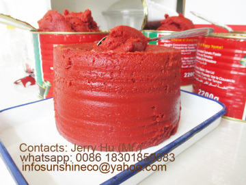 2200g canned TOMATO PASTE from Xinjiang China