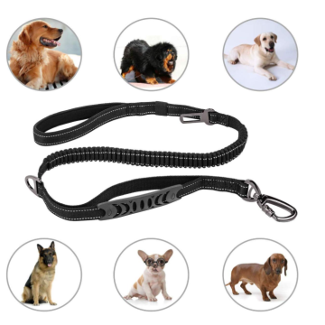 Correa de perro de 4-6 pies bungee