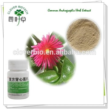 5%-98% Andrographolide Factory Supply Common Andrographis Herb Extract