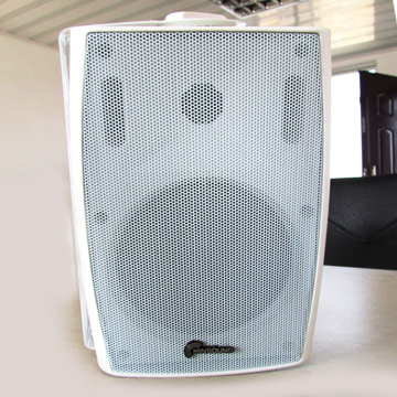 5 Inch Premium PA Wall Mounted Speaker