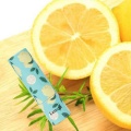 Wholesale Nourishing Repair Lemon Chapstick Lip Balm Tube