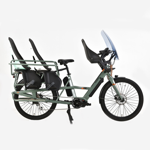 2022 New Electric Cargo Bike for family
