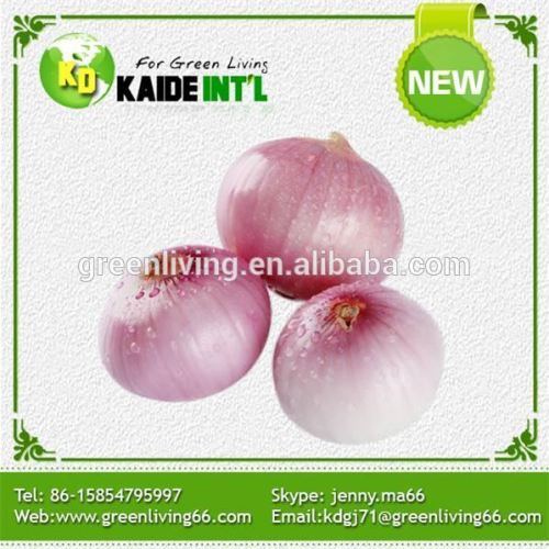 Segar baru tanaman kupas bawang putih