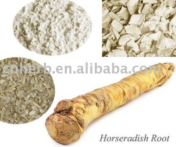 dried horseradish root