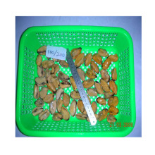 frozen green mussel detail frozen blue mussel china supplier frozen cooked full-frozen mussel meats