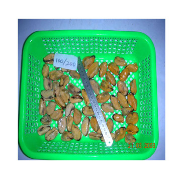 frozen green mussel detail frozen blue mussel china supplier frozen cooked full-frozen mussel meats