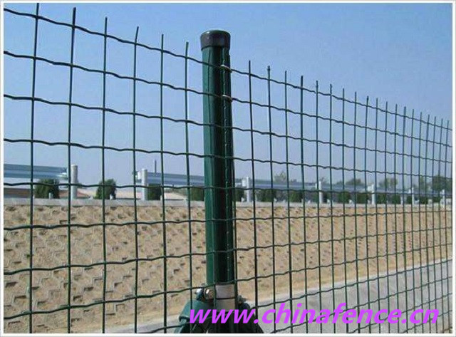 Welded Euro Fence