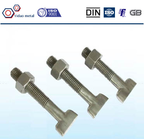 Standard DIN186 SS 304/316 T Type Bolt, Galvanized T Type Bolt