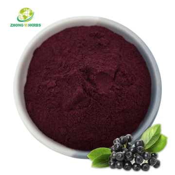 Organic Bilberry juice powder