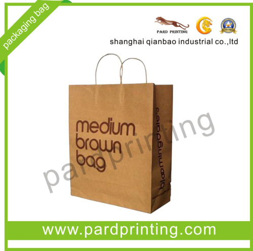 High Quality Package Kraft Paper Bag (QBB-171)