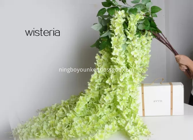 Wisteria Green Png