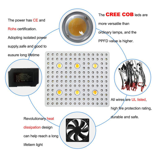 Phlizon COB Grow Light 3000W de alta qualidade