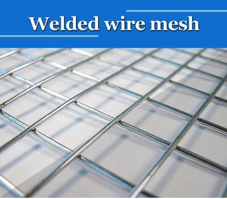 China PVC Coated Welded Wire Mesh Panel