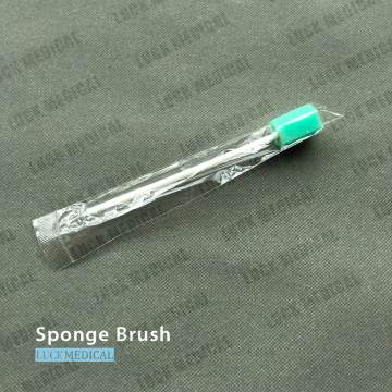 Disposable Sponge Brush Single Use
