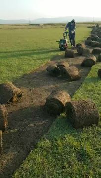 30cm lawn removing machine