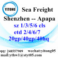 Servicios a Apapa flete de mar de Shenzhen