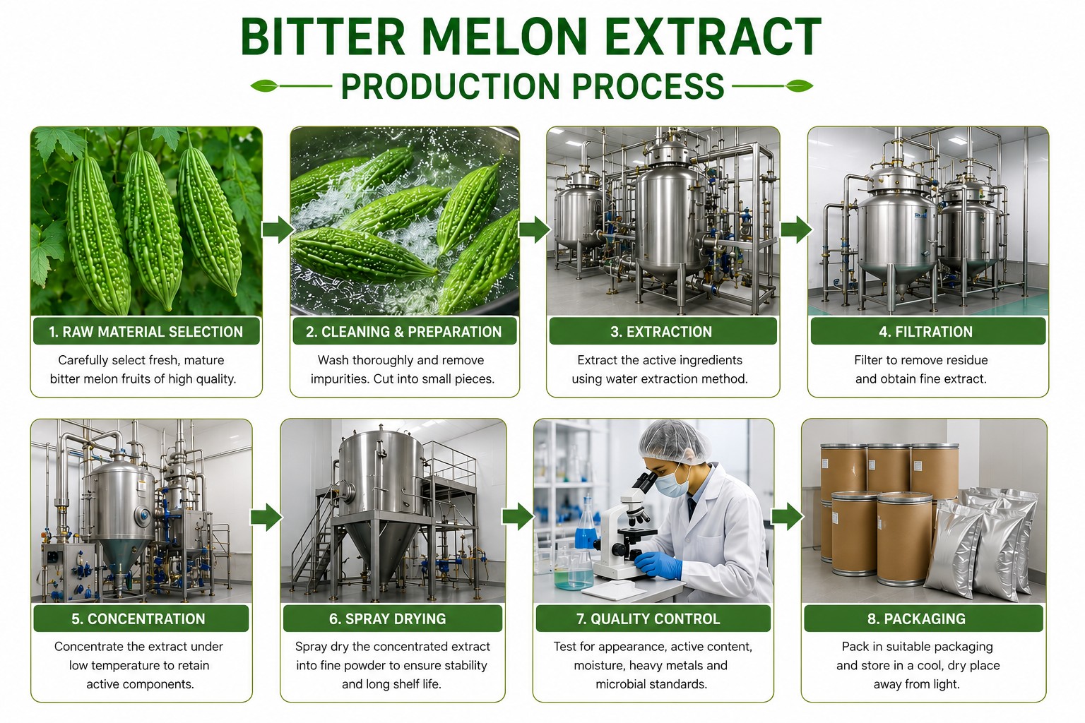 Bitter_Melon_Production_Process_Under_2MB Bitter_Melon_Production_Process_Under_2MB