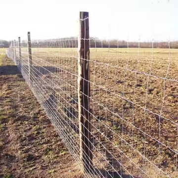 1.8m x 150mm x 100m 2mm Wire Game Fence