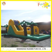 Inflatable Bouncer Slide: Dry Bouncy Slide and Wet Water Slide